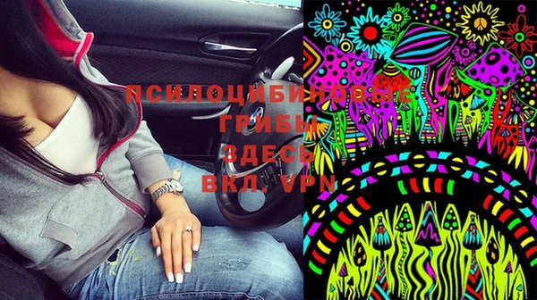 PSILOCYBIN Армянск