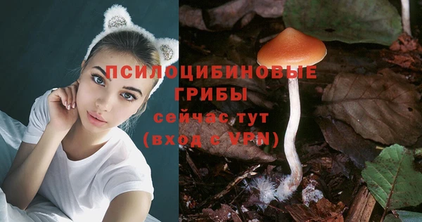 PSILOCYBIN Армянск