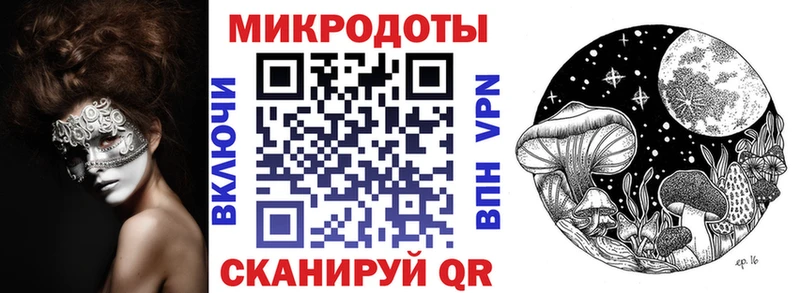 наркошоп  Вяземский  Галлюциногенные грибы Psilocybe 